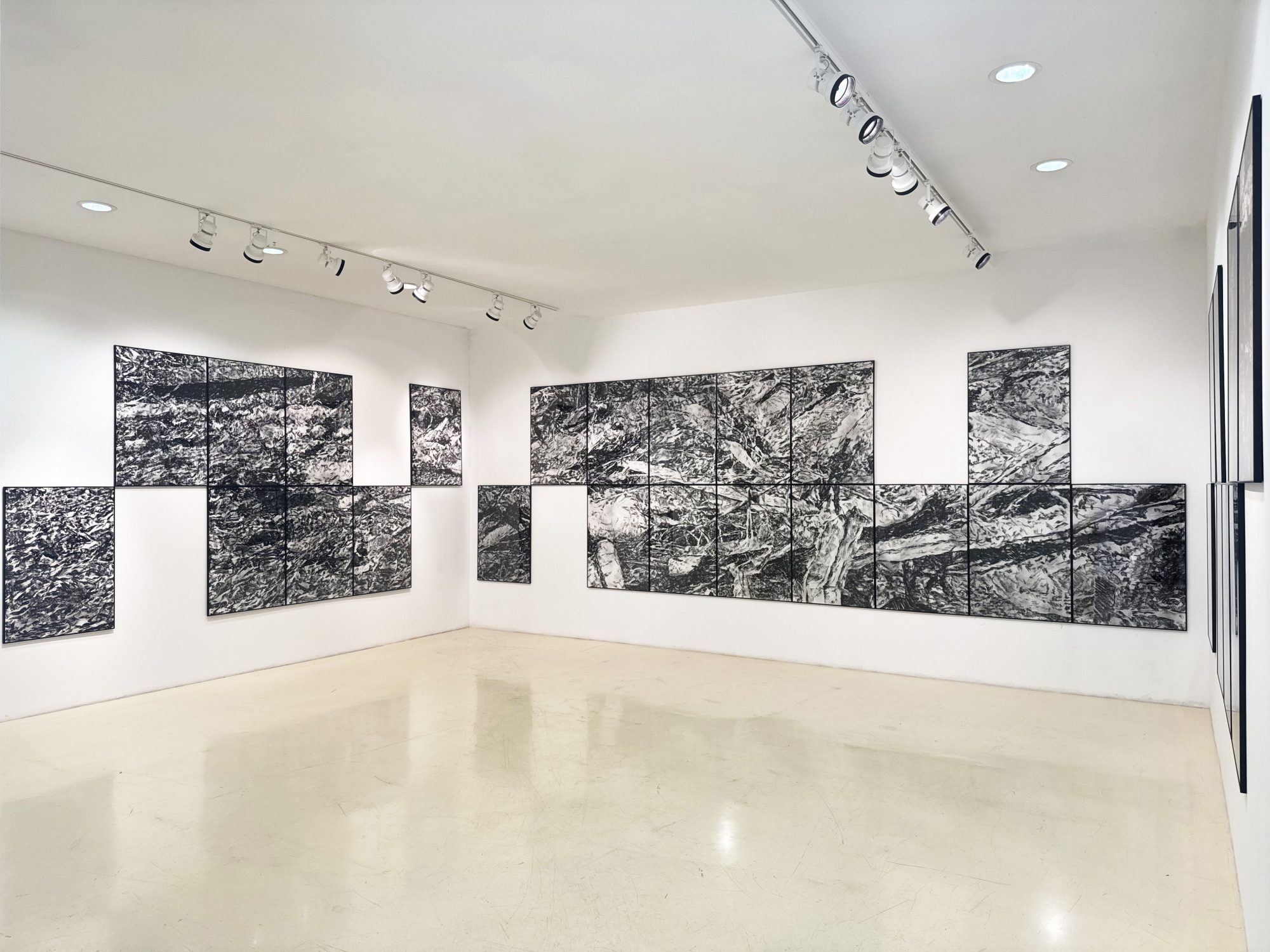 Studija nepredvidljivosti_Anita Miloš Tomaić